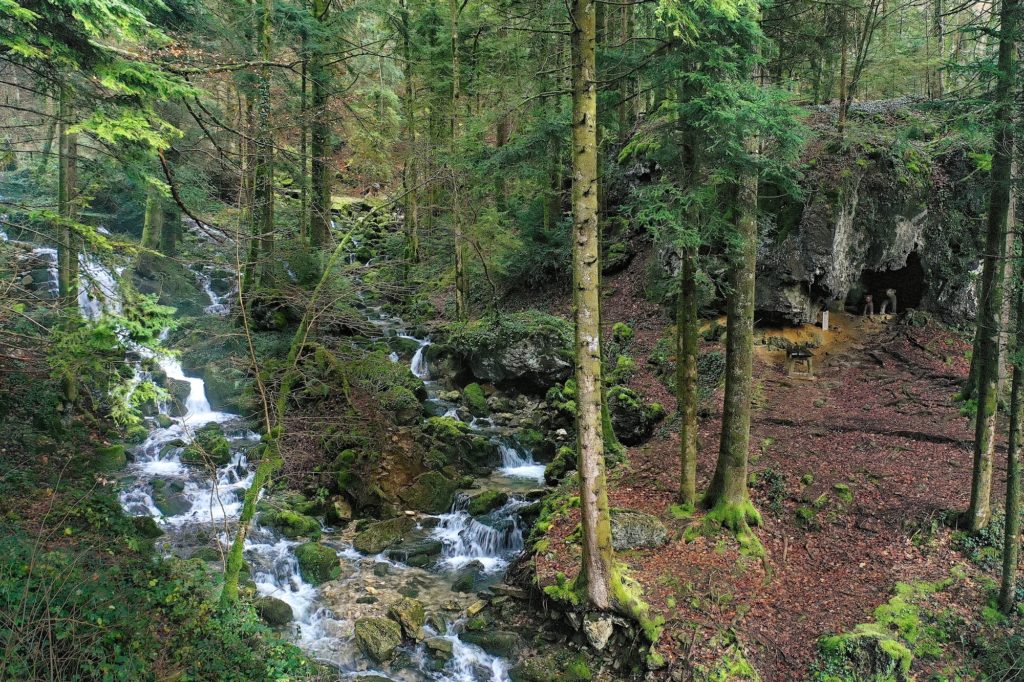 Source De L Angillon Les Nans Jura Tourisme