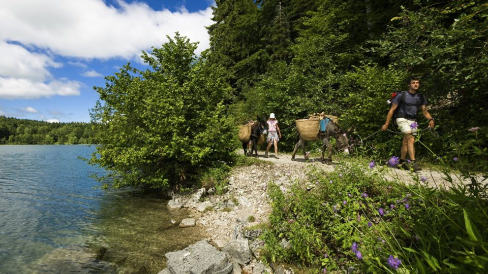 Randonnées Jura, Balades Et Randonnées Pédestres - Jura Tourisme