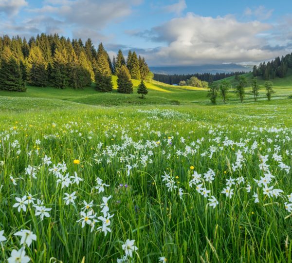 Sites Incontournables Du Jura, à Voir Absolument - Jura Tourisme