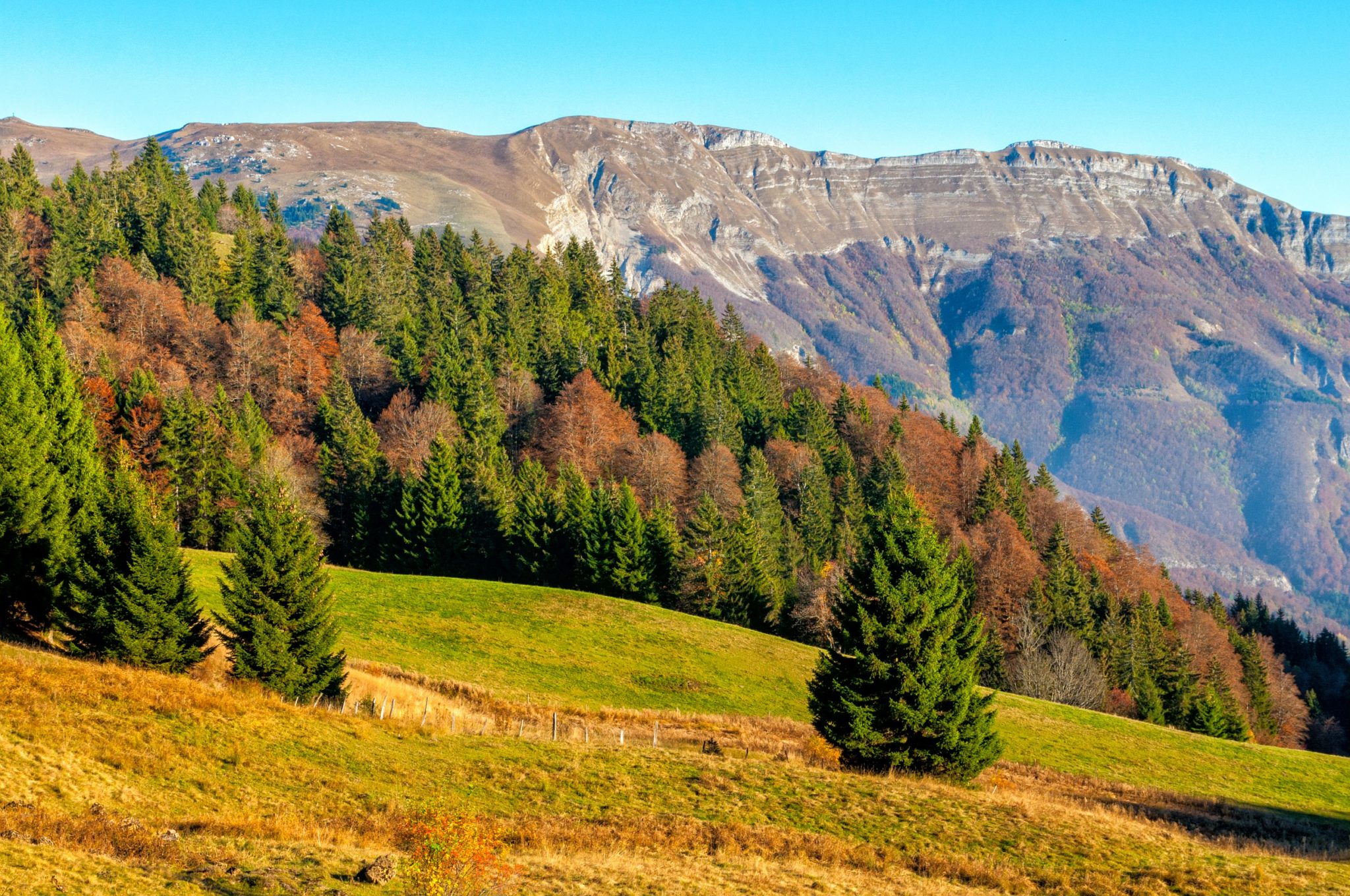 Le Sentier Des Trois Combes P Destre Jura Tourisme