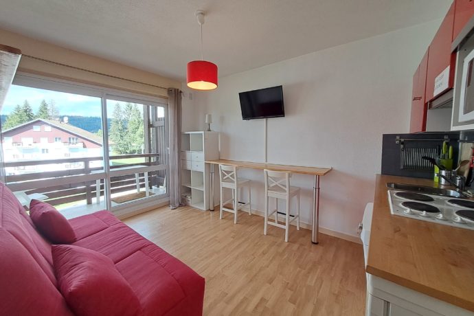 Location–Vacances-Appartement-Les Rousses-Station des Rousses-Jura