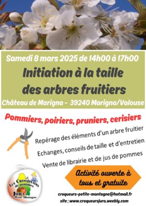 2025-0308-Initiation taille arbres fruitiers-Marigna 8 mars – 1