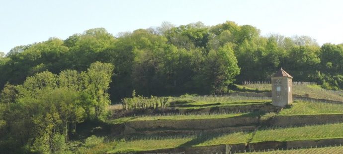 APPARTEMENT – GITE DES VIGNES_6