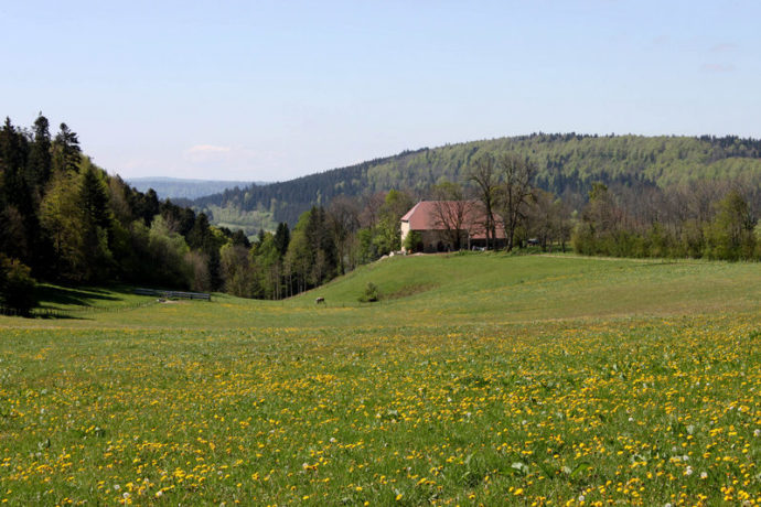 Arrivée à la ferme