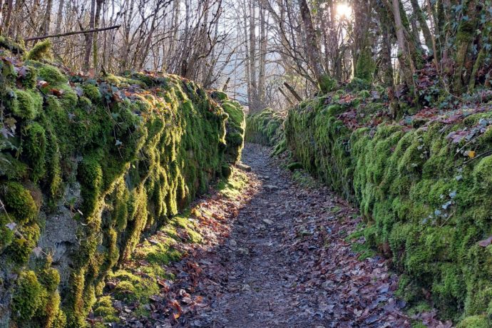 ARBOIS_Sentier Ermitage 2 (Hiver 2022)_Corentin Tardivel