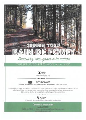 Bain de forêt