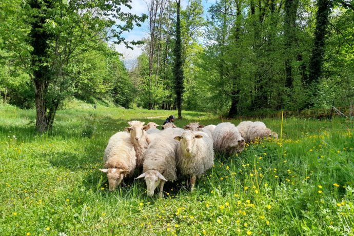 Bergerie du Champ Devant