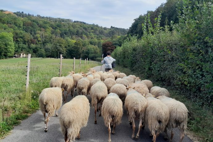 Bergerie du Champ Devant