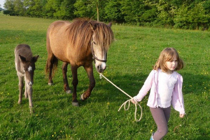 Cheval © Domaine de la Loge