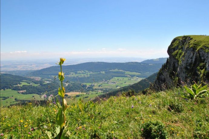 CHALETS DES BELLES SAISONS