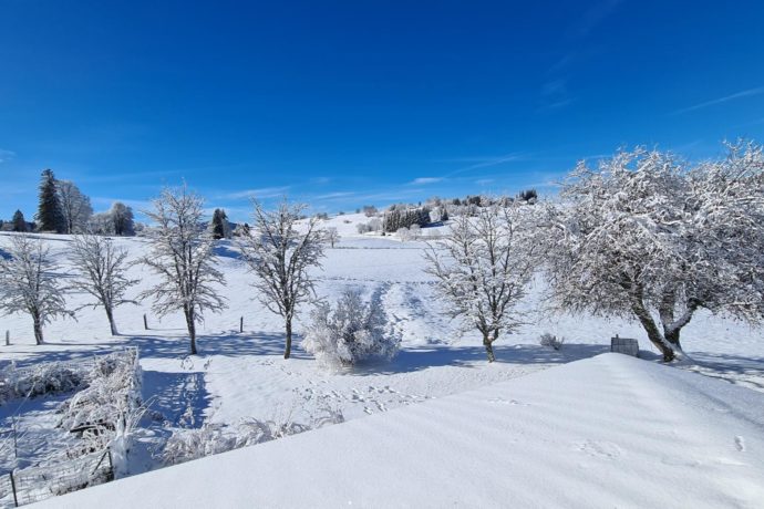 Appartement Le Chevreuil – MV Vacances