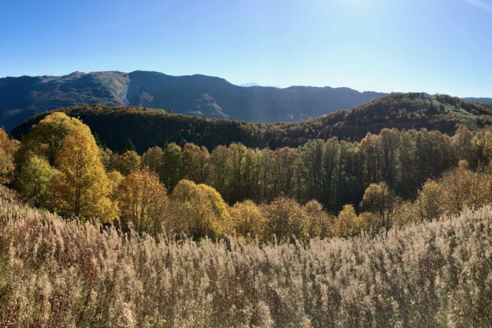 Chalet le Petit Bois Rond