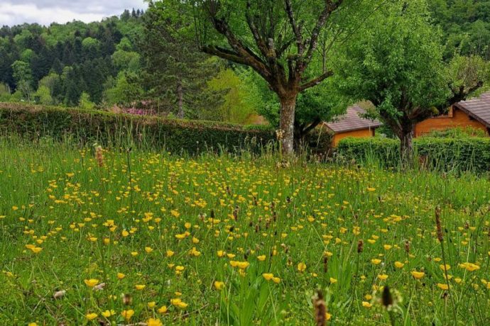 Le refuge du Hérisson