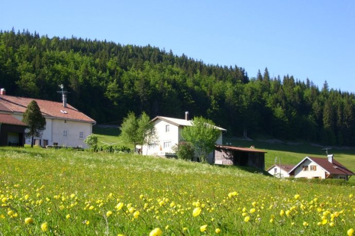 L’atelier de parrain