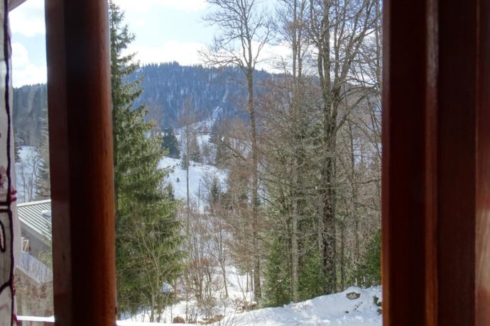 Chalet le Dahut (3 personnes + Clic-clac)