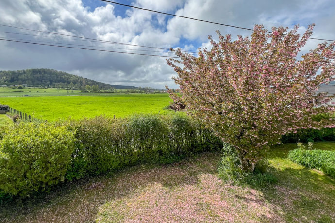 Gite Le Catalpa – Extérieur