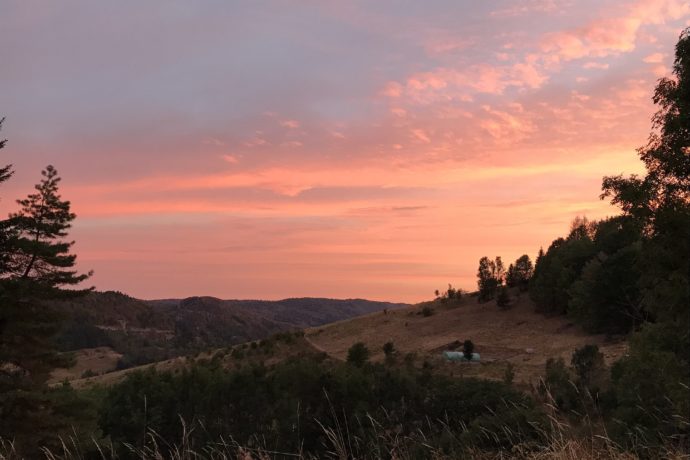 un soir d’été