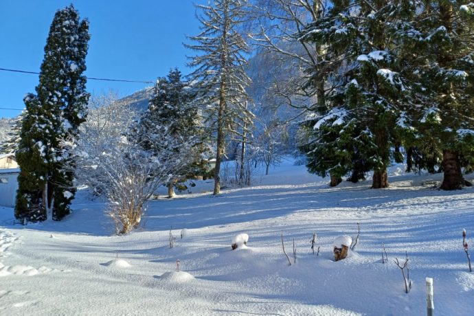 Jardin sous la neige (2)