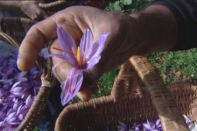 Panier safran fleurs