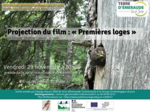 Projection de film arinthod