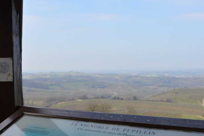 Pupillin Belvédère du vignoble