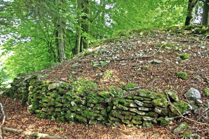 Vstg117-Mur-Girard-ArcheoJuraSites