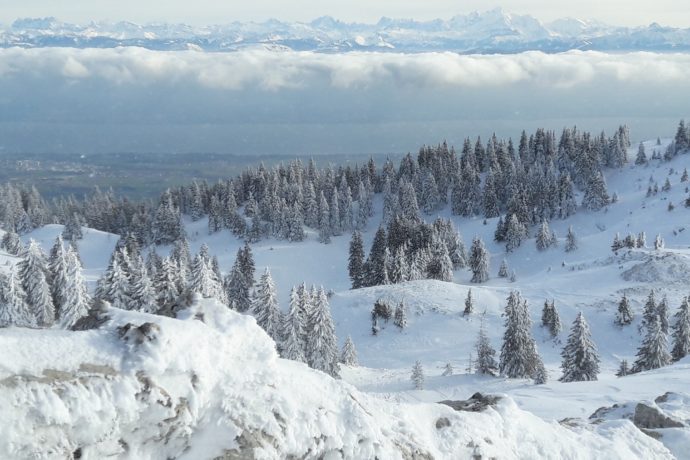 Vue des Alpes