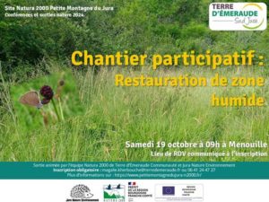 chantier participatif papillon