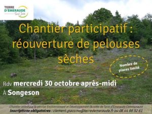 chantier pelouses seches