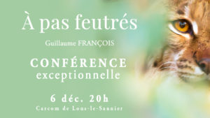 conference-a-pas-feutres-guillaule-francois