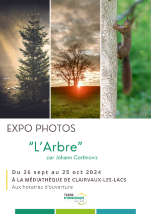 Expo Arbre – Affiche