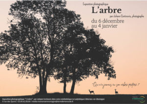 exposition l’arbre 1