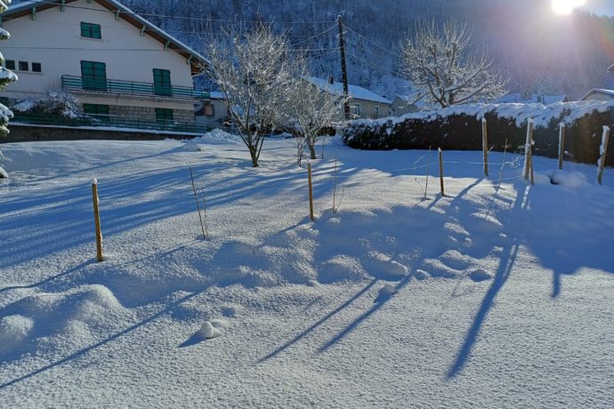 jardin sous la neige