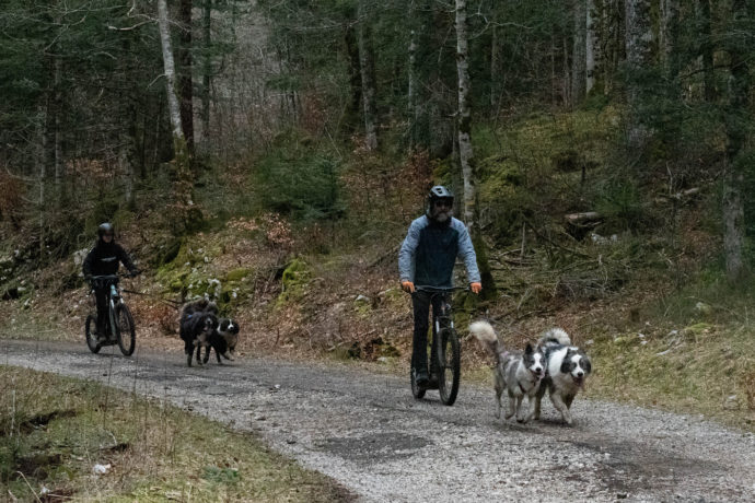 lavalleedeslaikas-trottinette-1