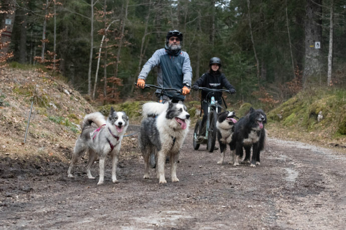 lavalleedeslaikas-trottinette-2